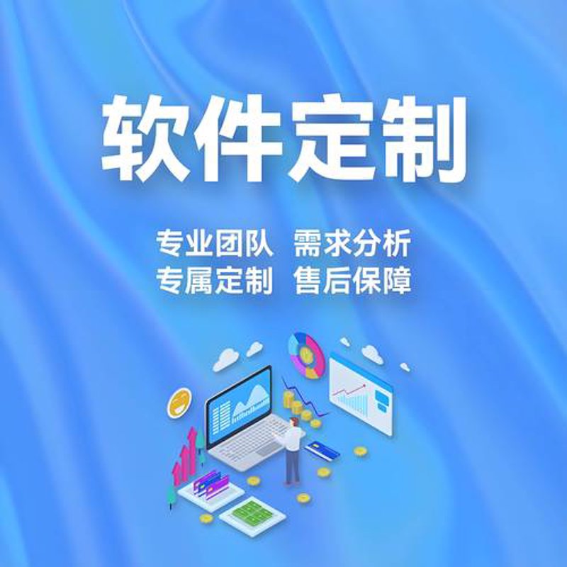 探索软件定制开发的无限可能