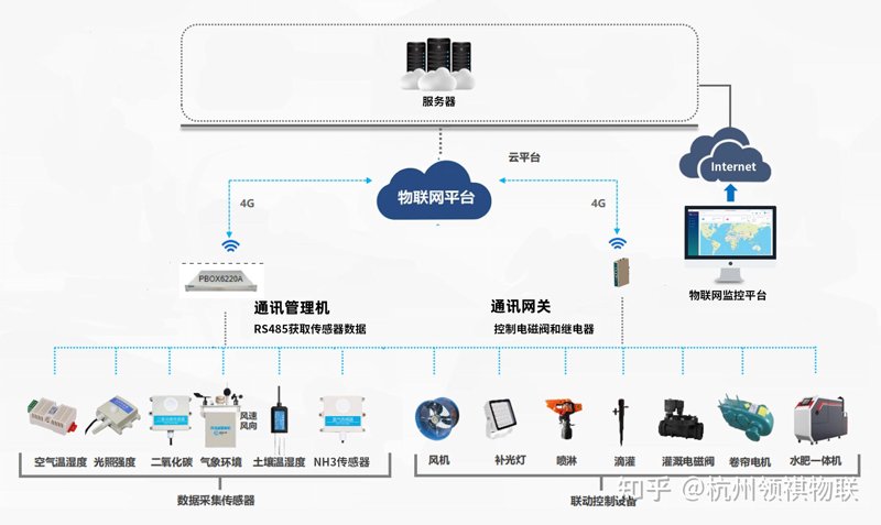 软件定制开发：企业数字化转型的助推器